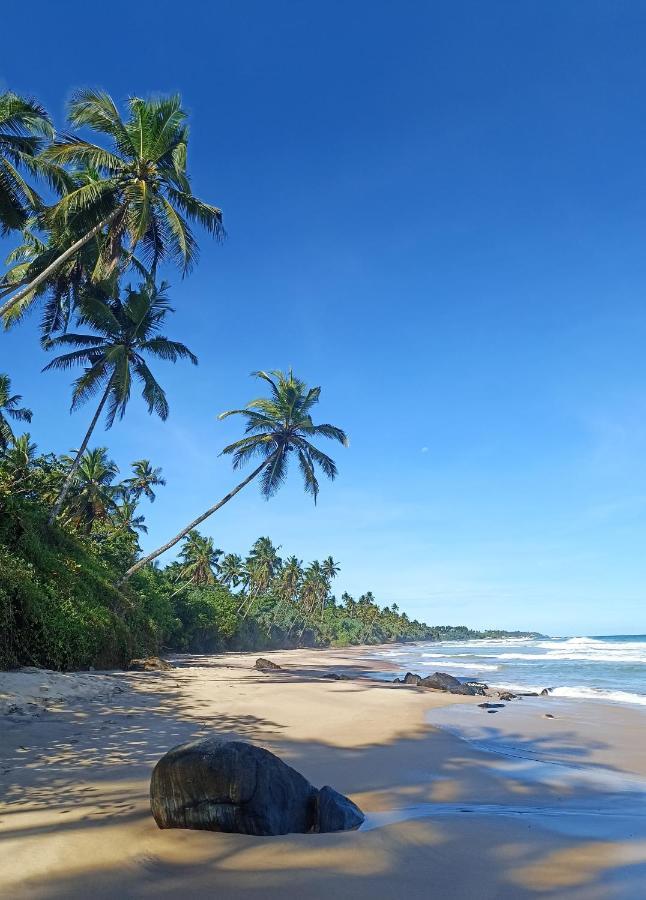 Beach House Kalukatiya - Family Villa, Seaview Room, Garden Room Dikwella Exterior foto