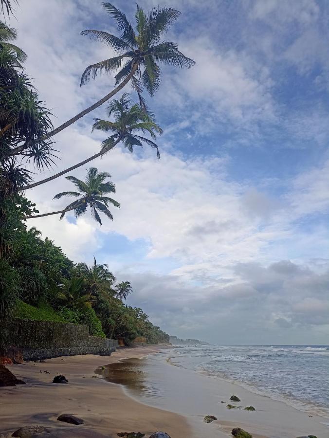 Beach House Kalukatiya - Family Villa, Seaview Room, Garden Room Dikwella Exterior foto