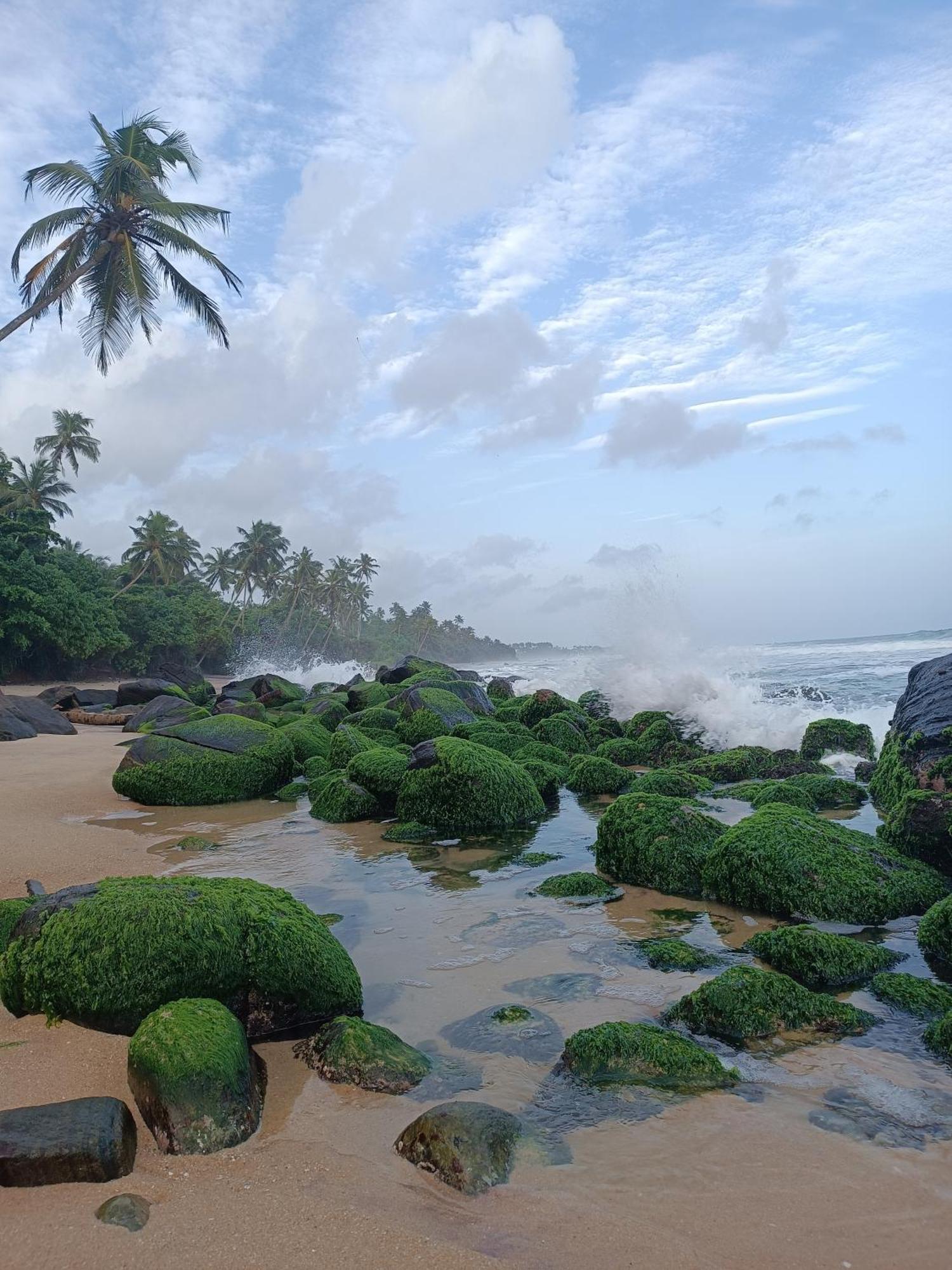 Beach House Kalukatiya - Family Villa, Seaview Room, Garden Room Dikwella Exterior foto